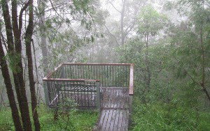 Eagles Rest Retreat - Nambucca Heads Accommodation 4