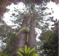 Moorlands Country Retreat - Nambucca Heads Accommodation