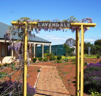 Lavendale Farmstay and Cottages - Nambucca Heads Accommodation