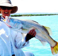 Kimberley Coastal Camp - Nambucca Heads Accommodation