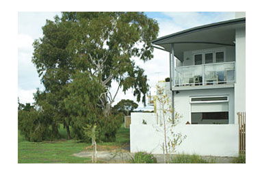 Clifton Hill VIC Nambucca Heads Accommodation