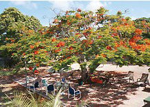 Barnacles Backpackers - Nambucca Heads Accommodation 1