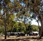 Barracrab Caravan Park - Nambucca Heads Accommodation