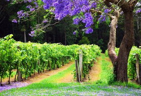 Book Hollisdale Accommodation Vacations Nambucca Heads Accommodation Nambucca Heads Accommodation