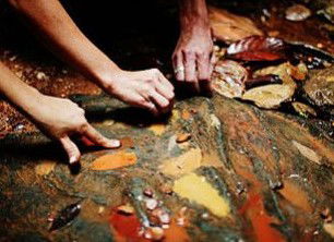 Daintree Eco Lodge And Spa - Nambucca Heads Accommodation 0