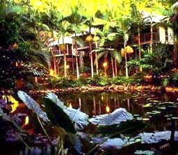 Daintree Eco Lodge And Spa - Nambucca Heads Accommodation 3