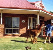 Brilea Cottages - Nambucca Heads Accommodation
