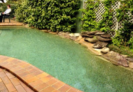 Newcomen Bed And Breakfast - Nambucca Heads Accommodation 2