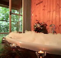 Tree Houses Of Montville - Nambucca Heads Accommodation