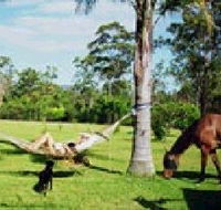 Neds Bed Horse O Tel - Nambucca Heads Accommodation