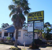 Blackboy Tree Motel - Nambucca Heads Accommodation