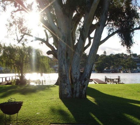 Eleven From The Left - Nambucca Heads Accommodation 1