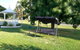 Gazebo Motor Inn - thumb 0