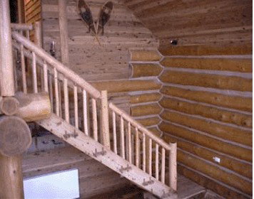 The Chilliwack Lodge - Nambucca Heads Accommodation 1