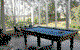 Cedars Indulgence Retreat - thumb 4