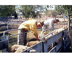 Capital Country NSW Nambucca Heads Accommodation