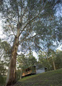 Ada VIC Nambucca Heads Accommodation