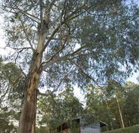 Outpost Restaurant - Nambucca Heads Accommodation