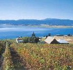 Marions Vineyard  - Nambucca Heads Accommodation