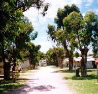 Bathers Paradise Caravan Park - Nambucca Heads Accommodation