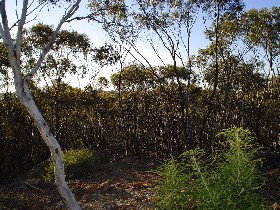 Tolmans Hill ACT Nambucca Heads Accommodation