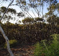 Lions Dryandra Woodlands Village - Nambucca Heads Accommodation