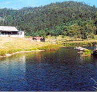 Millybrook Lodge - Nambucca Heads Accommodation