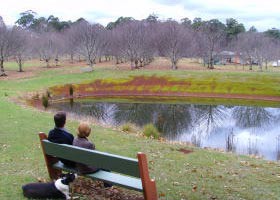 Chestnut Glade - Nambucca Heads Accommodation 0