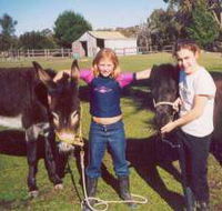 Grampians Sunrise Holiday Villas