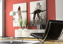 A Good Sort - Nambucca Heads Accommodation 3