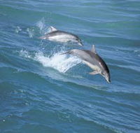 Seachange - Nambucca Heads Accommodation