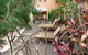 L'Auberge Noosa - thumb 27