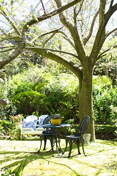 Adeline Bed And Breakfast - Nambucca Heads Accommodation 7