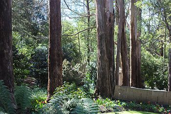 Adeline Bed And Breakfast - Nambucca Heads Accommodation 8