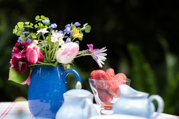 Adeline Bed And Breakfast - Nambucca Heads Accommodation 21