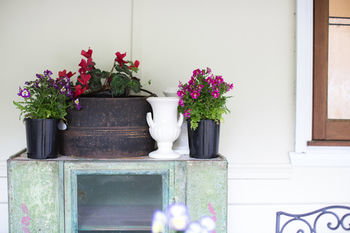 Adeline Bed And Breakfast - Nambucca Heads Accommodation 22