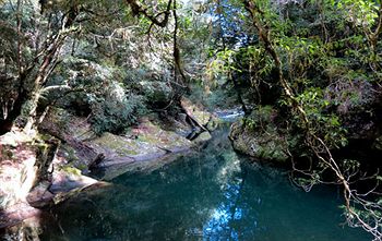 Barrington Wilderness Cedar Lodge Accommodation - Nambucca Heads Accommodation 11