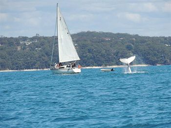 Paradise Bungalow - Nambucca Heads Accommodation 4