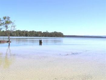 Paradise Bungalow - Nambucca Heads Accommodation 8