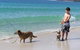 Paradise Bungalow - thumb 19