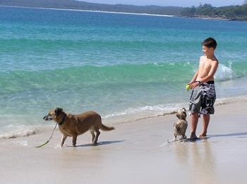 Paradise Bungalow - Nambucca Heads Accommodation 19