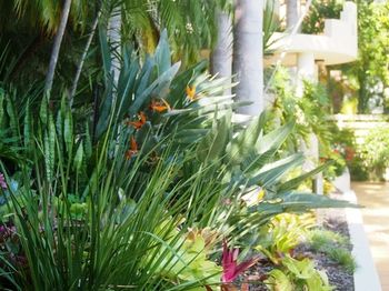 Mirra Chana - Nambucca Heads Accommodation 11