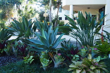 Mirra Chana - Nambucca Heads Accommodation 12