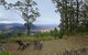 Eagleview Resort - thumb 11