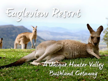 Eagleview Resort - Nambucca Heads Accommodation 45