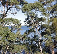 The Edgewater Bed amp Breakfast - Nambucca Heads Accommodation