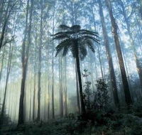 Tower Motel Marysville - Nambucca Heads Accommodation