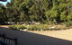Eumundi Gridley Homestead B&B - thumb 1