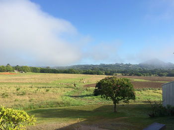 Eumundi Gridley Homestead B&B - Nambucca Heads Accommodation 6
