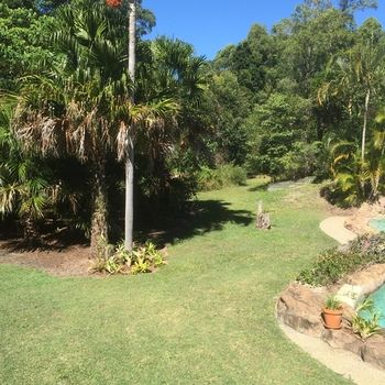 Kingfishers Manor @ Noosa - Nambucca Heads Accommodation 30